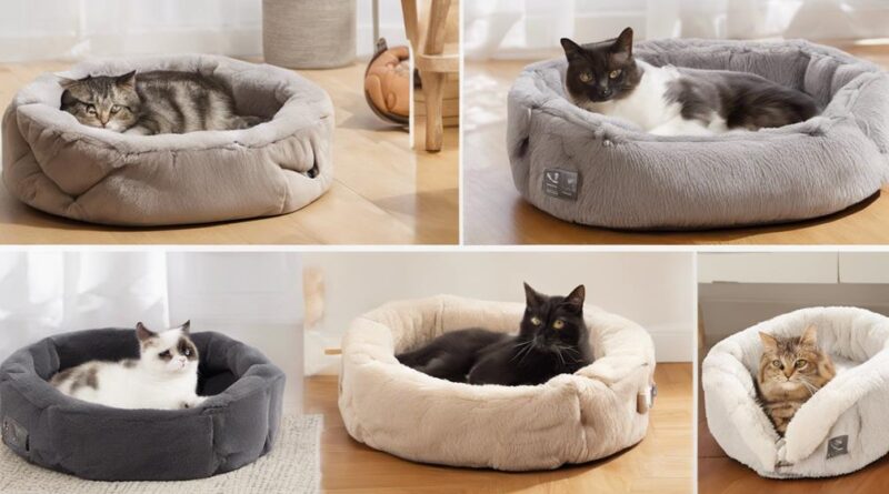 travel friendly cat beds recommended